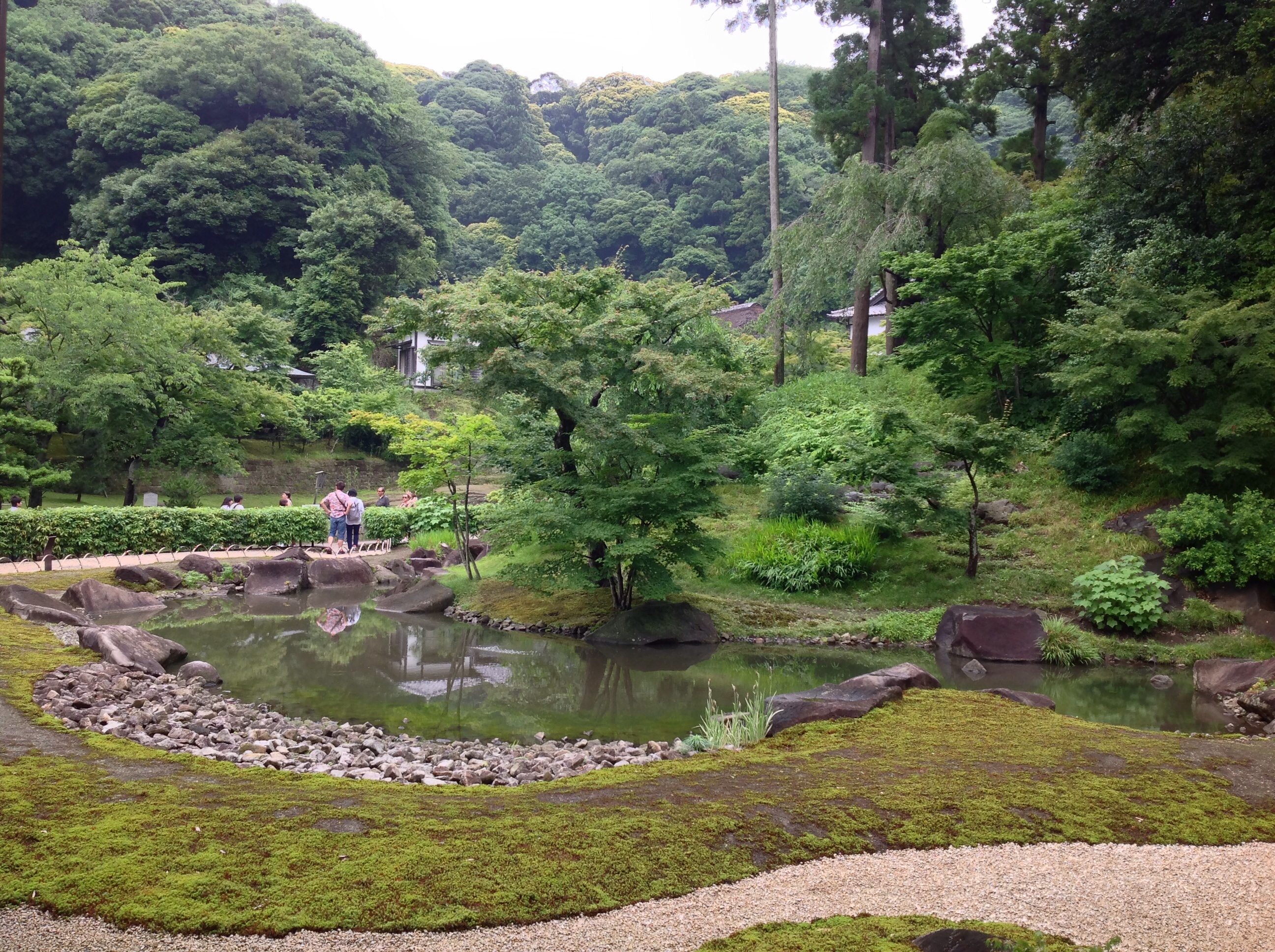 garden behind hondo